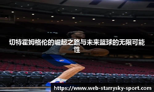 星空体育官网入口